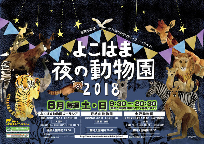 神奈川・金沢動物園で池亜佐美監督プロジェクションショー「コアラのおなまえソング」開催